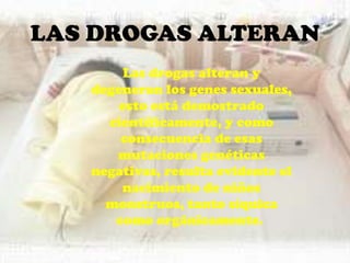 LAS DROGAS ALTERAN
Las drogas alteran y
degeneran los genes sexuales,
esto está demostrado
científicamente, y como
consecuencia de esas
mutaciones genéticas
negativas, resulta evidente el
nacimiento de niños
monstruos, tanto síquica
como orgánicamente.
 