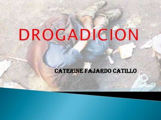 CATERINE FAJARDO CATILLO
 