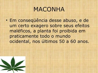 Em conseqüência desse abuso, e de um certo exagero sobre seus efeitos maléficos, a planta foi proibida em praticamente todo o mundo ocidental, nos últimos 50 a 60 anos. MACONHA 
