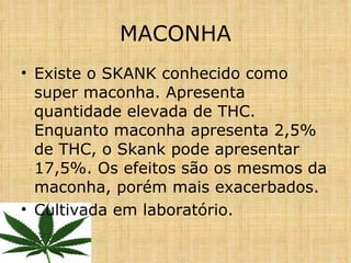 Existe o SKANK conhecido como super maconha. Apresenta quantidade elevada de THC. Enquanto maconha apresenta 2,5% de THC, o Skank pode apresentar 17,5%. Os efeitos são os mesmos da maconha, porém mais exacerbados.  Cultivada em laboratório. MACONHA 