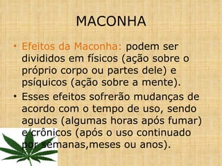 Efeitos da Maconha:  podem ser divididos em físicos (ação sobre o próprio corpo ou partes dele) e psíquicos (ação sobre a mente). Esses efeitos sofrerão mudanças de acordo com o tempo de uso, sendo agudos (algumas horas após fumar) e crônicos (após o uso continuado por semanas,meses ou anos). MACONHA 