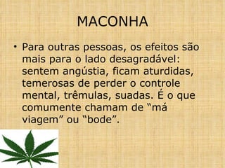 Para outras pessoas, os efeitos são mais para o lado desagradável: sentem angústia, ficam aturdidas, temerosas de perder o controle mental, trêmulas, suadas. É o que comumente chamam de “má viagem” ou “bode”. MACONHA 