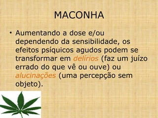 Aumentando a dose e/ou dependendo da sensibilidade, os efeitos psíquicos agudos podem se transformar em  delírios  (faz um juízo errado do que vê ou ouve) ou  alucinações  (uma percepção sem objeto). MACONHA 