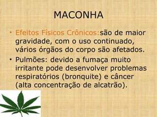 Efeitos Físicos Crônicos: são de maior gravidade, com o uso continuado, vários órgãos do corpo são afetados. Pulmões: devido a fumaça muito irritante pode desenvolver problemas respiratórios (bronquite) e câncer (alta concentração de alcatrão). MACONHA 