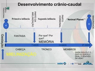 PARTO
TRADICIONAL
Gestação
4
0 14 ANOS
MIELINIZAÇÃO
7 ANOS 21 ANOS
PARTODA
MIELINIZAÇÃO
PARTO
HORMONAL
MAIORIDADE
8
CABEÇA TRONCO MEMBROS
Por que? Por
que?
MEMÓRIA
FANTASIA
“Animal Planet “
QUEM SOU EU? O
QUE EU QUERO?
QUAL O SENTIDO
DA VIDA?
Primeira infância Segunda infância
Desenvolvimento crânio-caudal
 