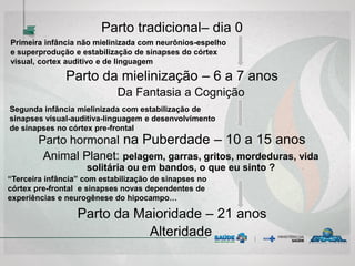 Parto tradicional– dia 0
Parto da mielinização – 6 a 7 anos
Da Fantasia a Cognição
Parto hormonal na Puberdade – 10 a 15 anos
Animal Planet: pelagem, garras, gritos, mordeduras, vida
solitária ou em bandos, o que eu sinto ?
Parto da Maioridade – 21 anos
Alteridade
Primeira infância não mielinizada com neurônios-espelho
e superprodução e estabilização de sinapses do córtex
visual, cortex auditivo e de linguagem
Segunda infância mielinizada com estabilização de
sinapses visual-auditiva-linguagem e desenvolvimento
de sinapses no córtex pre-frontal
“Terceira infância” com estabilização de sinapses no
córtex pre-frontal e sinapses novas dependentes de
experiências e neurogênese do hipocampo…
 