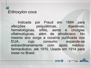 Eritroxylon coca
Indicada por Freud em 1884 para
afecções psiquiátricas, digestivas,
hematológicas, sífilis, asma e cirurgias
oftalmológicas, além de afrodisíaco. No
mesmo ano surge a cocaína purificada nos
EUA, cujo consumo expande-se
extraordinariamente com apoio médico-
farmacêutico, até 1910. Usada em 1914 para
tosse no Brasil.
 