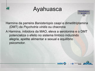 Ayahuasca
Harmina da parreira Banisteriopis caapi e dimetiltriptamina
(DMT) da Psychotria viridis ou chacrona
A Harmina, inibidora da MAO, eleva a serotonina e o DMT
potencializa o efeito no sistema límbico induzindo
alegria, apetite alimentar e sexual e equilíbrio
psicomotor.
Perturbadores
do SNC
 