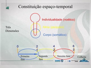 0 2
1
4
2
6
3
Constituição espaço-temporal
Individualidade (noético)
Alma (psíquico)
Corpo (somático)
Primeira
fase
Segunda
fase
Terceira fase Colheita
Três
Dimensões
 