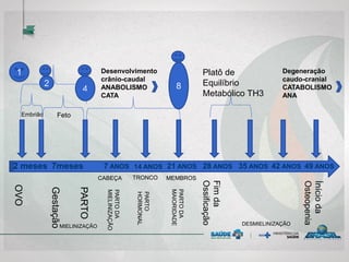 OVO
PARTO
Gestação
1
2
4
FetoEmbrião
2 meses 7meses 14 ANOS
MIELINIZAÇÃO
7 ANOS 21 ANOS 28 ANOS 35 ANOS 42 ANOS 49 ANOS
DESMIELINIZAÇÃO
PARTODA
MIELINIZAÇÃO
PARTO
HORMONAL
PARTODA
MAIORIDADE
Ínícioda
Osteopenia
Fimda
Ossificação
Desenvolvimento
crânio-caudal
ANABOLISMO
CATA
Degeneração
caudo-cranial
CATABOLISMO
ANA
8
CABEÇA TRONCO MEMBROS
Platô de
Equilíbrio
Metabólico TH3
 