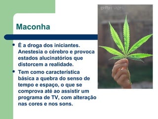 Maconha
 É a droga dos iniciantes.
Anestesia o cérebro e provoca
estados alucinatórios que
distorcem a realidade.
 Tem como característica
básica a quebra do senso de
tempo e espaço, o que se
comprova até ao assistir um
programa de TV, com alteração
nas cores e nos sons.
 