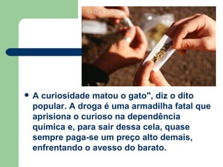 A curiosidade matou o gato", diz o dito popular. A droga é uma armadilha fatal que aprisiona o curioso na dependência química e, para sair dessa cela, quase sempre paga-se um preço alto demais, enfrentando o avesso do barato.  
