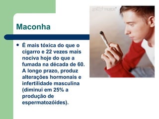 Maconha É mais tóxica do que o cigarro e 22 vezes mais nociva hoje do que a fumada na década de 60. A longo prazo, produz alterações hormonais e infertilidade masculina (diminui em 25% a produção de espermatozóides).   