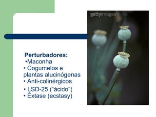 Perturbadores:  •Maconha • Cogumelos e plantas alucinógenas • Anti-colinérgicos  •  LSD-25 (“ácido”) • Êxtase (ecstasy)  