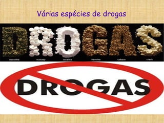 Várias espécies de drogas 
