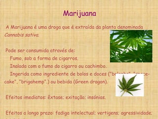 Marijuana A Marijuana é uma droga que é extraída da planta denominada  Cannabis sativa. Pode ser consumida através de: Fumo, sob a forma de cigarros. Inalada com o fumo do cigarro ou cachimbo. Ingerida como ingrediente de bolos e doces ("bolonha", "space-cake", "brigahemp".) ou bebida (Green dragon). Efeitos imediatos: êxtase; exitação; insónias. Efeitos a longo prazo: fadiga intelectual; vertigens; agressividade; debilidade.  