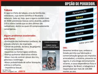 Voltar para capa Tabaco O cigarro é feito de tabaco, erva da família das solanáceas, cujo nome científico é Nicotiana tabacum. Sabe-se, hoje, que o cigarro contém mais de 4500 substâncias tóxicas como alcatrão, polônio 210 e urânio (sendo que os dois últimos são radioativos), dentre as quais 43 comprovadamente cancerígenas .  OBS: Devemos lembrar que, embora o Estado permita sua fabricação e comercialização (graças aos impostos arrecadados), a nicotina, presente no cigarro, é uma droga extremamente viciante, e causa dependência física e psicológica. No Brasil, o tabagismo é responsável por mais de 120.000 mortes ao ano. Alguns problemas ocasionados  pelo fumo:  -Diminuição dos batimentos cardíacos, da pressão arterial e da respiração.  -Câncer do pulmão, da boca, da garganta. -Infarto do miocárdio.  -Isquemias ou hemorragias cerebrais.  -Doença pulmonar obstrutiva crônica.  -Maior risco de contrair câncer dos rins, pâncreas e estômago.  -Maior probabilidade de sofrer bronquite crônica e enfisema.  - Impotência Sexual.  