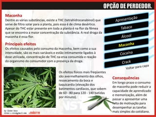 Voltar para capa Maconha Dentre as várias substâncias, existe a THC (tetrahidrocanabinol) que serve de filtro solar para a planta, pois essa é de clima desértico. Apesar do THC estar presente em toda a planta é na flor da fêmea que se encontra a maior concentração da substância. A real droga da maconha é essa flor.  Principais efeitos   Os efeitos causados pelo consumo da maconha, bem como a sua intensidade, são os mais variáveis e estão intimamente ligados à dose utilizada, concentração de THC na erva consumida e reação do organismo do consumidor com a presença da droga.  Os efeitos físicos mais freqüentes são avermelhamento dos olhos, ressecamento da boca e taquicardia (elevação dos batimentos cardíacos, que sobem de 60 - 80 para 120 - 140 batidas por minuto).  Consequências Em longo prazo o consumo de maconha pode reduzir a capacidade de aprendizado e memorização, além de passar a apresentar uma falta de motivação para desempenhar as tarefas mais simples do cotidiano. 