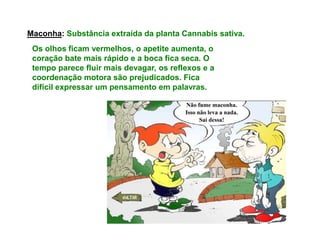 Maconha: Substância extraída da planta Cannabis sativa.
 Os olhos ficam vermelhos, o apetite aumenta, o
 coração bate mais rápido e a boca fica seca. O
 tempo parece fluir mais devagar, os reflexos e a
 coordenação motora são prejudicados. Fica
 difícil expressar um pensamento em palavras.
 
