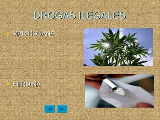 DROGAS ILEGALES MARIHGUANA HEROÍNA 