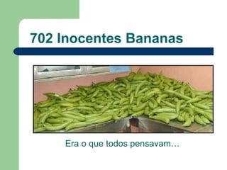 702 Inocentes Bananas Era o que todos pensavam… 