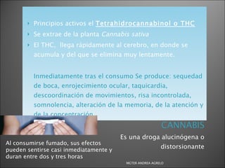 Es una droga alucinógena o distorsionante Principios activos el  Tetrahidrocannabinol o THC Se extrae de la planta  Cannabis sativa El THC,  llega rápidamente al cerebro, en donde se acumula y del que se elimina muy lentamente. Inmediatamente tras el consumo Se produce: sequedad de boca, enrojecimiento ocular, taquicardia, descoordinación de movimientos, risa incontrolada, somnolencia, alteración de la memoria, de la atención y de la concentración. Al consumirse fumado, sus efectos pueden sentirse casi inmediatamente y duran entre dos y tres horas MGTER ANDREA AGRELO 