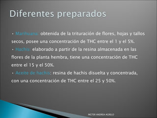 •  Marihuana:  obtenida de la trituración de flores, hojas y tallos secos, posee una concentración de THC entre el 1 y el 5%. •  Hachis:  elaborado a partir de la resina almacenada en las flores de la planta hembra, tiene una concentración de THC entre el 15 y el 50%. •  Aceite de hachis : resina de hachis disuelta y concentrada, con una concentración de THC entre el 25 y 50%. MGTER ANDREA AGRELO 