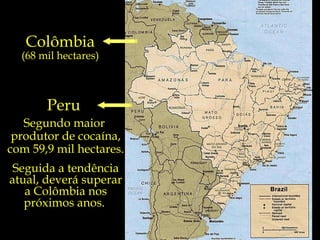 Colômbia Peru  Segundo maior  produtor de cocaína, com 59,9 mil hectares. Seguida a tendência atual, deverá superar a Colômbia nos próximos anos.  (68 mil hectares) 