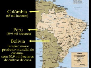 Colômbia (68 mil hectares) Peru  (59,9 mil hectares) Bolívia Terceiro maior produtor mundial de cocaína,  com 30,9 mil hectares  de cultivo de coca. 