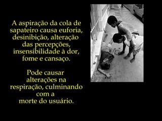 A aspiração da cola de sapateiro causa euforia, desinibição, alteração  das percepções, insensibilidade à dor, fome e cansaço. Pode causar  alterações na respiração, culminando com a  morte do usuário. 