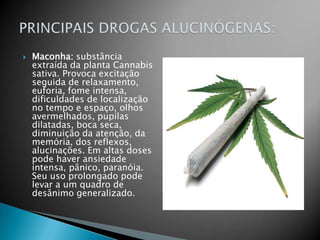 Maconha: substância extraída da planta Cannabis sativa. Provoca excitação seguida de relaxamento, euforia, fome intensa, dificuldades de localização no tempo e espaço, olhos avermelhados, pupilas dilatadas, boca seca, diminuição da atenção, da memória, dos reflexos, alucinações. Em altas doses pode haver ansiedade intensa, pânico, paranóia. Seu uso prolongado pode levar a um quadro de desânimo generalizado.PRINCIPAIS DROGAS ALUCINÓGENAS: