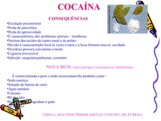 COCAÍNA CONSEQUÊNCIAS Excitação psicomotora Perda de autocrítica Perda de agressividade É vasoconstritora, daí: problemas arteriais – tromboses Necrose dos tecidos do ceptro nasal e do palato Devido à vasoconstrição local às vezes o nariz e a boca formam uma só  cavidade Overdose provoca convulsões e morte Cegueira irreversível Infecção: sanguínea,pulmonar, coronária NOTA BEM:  outro perigo é a cocaína ser adulterada. É comercializada a peso e então acrescentam-lhe produtos como : Soda caustica Solução de bateria de carro Água sanitária Cimento Pó de vidro Hormonas que engordam o gado Pó de talco CHEGA AO CONSUMIDOR APENAS COM 30% DE PUREZA 