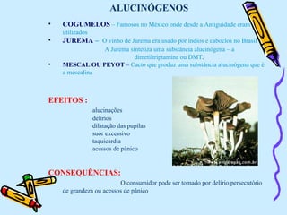ALUCINÓGENOS COGUMELOS   – Famosos no México onde desde a Antiguidade eram utilizados JUREMA   –  O vinho de Jurema era usado por índios e caboclos no Brasil  A Jurema sintetiza uma substância alucinógena – a  dimetiltriptamina ou DMT . MESCAL OU PEYOT  –  Cacto que produz uma substância alucinógena que é a mescalina EFEITOS : alucinações delírios dilatação das pupilas suor excessivo  taquicardia acessos de pânico CONSEQUÊNCIAS: O consumidor pode ser tomado por delírio persecutório de grandeza ou acessos de pânico 