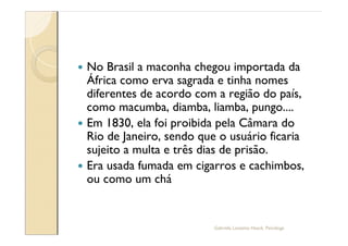 — No Brasil a maconha chegou importada da
  África como erva sagrada e tinha nomes
  diferentes de acordo com a região do país,
  como macumba, diamba, liamba, pungo....
— Em 1830, ela foi proibida pela Câmara do
  Rio de Janeiro, sendo que o usuário ficaria
  sujeito a multa e três dias de prisão.
— Era usada fumada em cigarros e cachimbos,
  ou como um chá


                           Gabriela Lanzetta Haack, Psicóloga
 