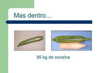 95 kg de cocaína Mas dentro… 
