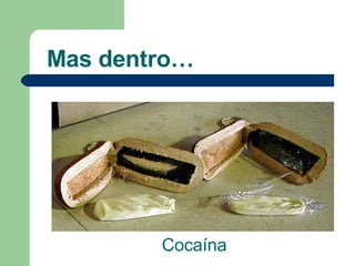 Mas dentro… Cocaína 
