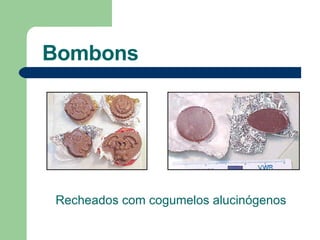 Bombons Recheados com cogumelos alucinógenos  