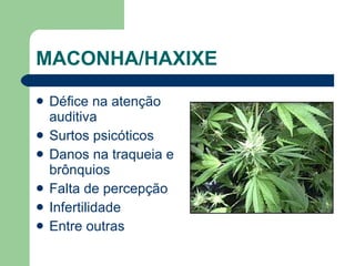 MACONHA/HAXIXE  Défice na atenção auditiva  Surtos psicóticos  Danos na traqueia e brônquios  Falta de percepção Infertilidade Entre outras 