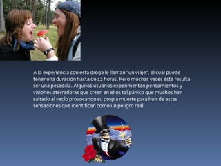 A la experiencia con esta droga le llaman "un viaje", el cual puede tener una duración hasta de 12 horas. Pero muchas veces éste resulta ser una pesadilla. Algunos usuarios experimentan pensamientos y visiones aterradoras que crean en ellos tal pánico que muchos han saltado al vacío provocando su propia muerte para huir de estas sensaciones que identifican como un peligro real. 