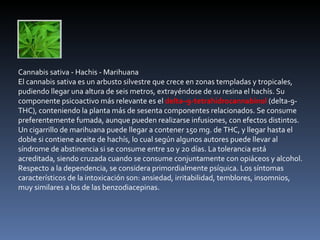 Cannabis sativa - Hachis - Marihuana El cannabis sativa es un arbusto silvestre que crece en zonas templadas y tropicales, pudiendo llegar una altura de seis metros, extrayéndose de su resina el hachís. Su componente psicoactivo más relevante es el  delta–9-tetrahidrocannabinol  (delta-9-THC), conteniendo la planta más de sesenta componentes relacionados. Se consume preferentemente fumada, aunque pueden realizarse infusiones, con efectos distintos. Un cigarrillo de marihuana puede llegar a contener 150 mg. de THC, y llegar hasta el doble si contiene aceite de hachís, lo cual según algunos autores puede llevar al síndrome de abstinencia si se consume entre 10 y 20 días. La tolerancia está acreditada, siendo cruzada cuando se consume conjuntamente con opiáceos y alcohol. Respecto a la dependencia, se considera primordialmente psíquica. Los síntomas característicos de la intoxicación son: ansiedad, irritabilidad, temblores, insomnios, muy similares a los de las benzodiacepinas. 