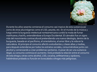 Durante los años sesenta comienza el consumo casi masivo de esta sustancia así como de otras alucinógenas como el LSD, peyote, etc. En el mundo de la música y luego entre la burguesía intelectual norteamericana cundió la moda de fumar marihuana y hachís, extendiéndose a Europa Occidental. El cánnabis fue un signo más del movimiento contracultural pretendiendo una nueva ideología, dentro de la burguesía, basada en el pacifismo, el orientalismo, el amor libre y la vida en la naturaleza. Al principio el consumo afectó a estudiantes y clases altas y medias, para después extenderse por todos los estratos sociales, consumiéndose junto con alcohol y comenzando a crear problemas sanitarios. A pesar de ser una sustancia ilegal, su consumo continúa en aumento. Está probada la relación entre el consumo de esta droga y otras como alcohol, LSD, cocaína, anfetaminas y opiáceos, habiéndose probado su función en la escalada a drogas más peligrosas. 