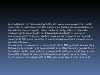 Las modalidades de marihuana disponibles a los jóvenes son más potentes que las que existían en la década del '60. Ello se debe a que los laboratorios clandestinos de los traficantes han conseguido realizar cambios a nivel genético en el cánnabis mediante sofisticados métodos de biotecnología, resultando en una mayor concentración de THC. La potencia de la droga se mide de acuerdo a la cantidad promedio de THC que se encuentra en las muestras de marihuana que confiscan las agencias policíacas. La marihuana común contiene un promedio de 3 % de THC, pudiendo alcanzar el 5,5 %. La resina tiene desde 7.5 %, llegando hasta 24 %. El hachís (resina gomosa de las flores de las plantas hembras) tiene un promedio de 3.6 %, pero puede llegar a tener hasta 28 %. El aceite de hachís, un líquido resinoso y espeso que se destila del hachís, tiene un promedio de 16 % de THC, pero puede llegar a tener hasta 43 %. 