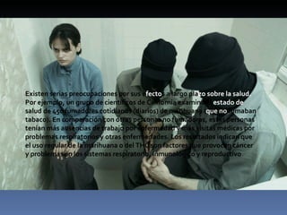 Existen serias preocupaciones por sus e fecto s a largo pla zo   sobre la salud.  Por   ejemplo, un grupo de científicos de California examinó el  estado de  salud   de 450 fumadores cotidianos (diarios) de marihuana ( que no  fumaban tabaco). En comparación con otras personas no fumadoras, estas personas tenían más ausencias de trabajo por enfermedad y más visitas médicas por problemas respiratorios y otras enfermedades. Los resultados indican que el uso regular de la marihuana o del THC son factores que provocan cáncer y problemas en los sistemas respiratorio, inmunológico y reproductivo 