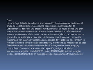 Coca La coca, hoja del arbusto indígena americano «Erythroxylon coca», pertenece al grupo de los estimulantes. Su consumo es ancestral en ciertas partes de Latinoamérica, donde es una práctica habitual mascar las hojas, siendo una gran mayoría de los consumidores de las zonas donde se cultiva. Su efecto sobre el sistema nervioso central es menor que los de la cocaína, dado que para extraer un gramo de esta sustancia se necesitan 160 hojas de coca. La coca es consumida mascándola con algún polvo alcalino como cenizas de vegetales o cal. También es fumada tanto sola como mezclada con tabaco y marihuana. La masticación de coca fue objeto de estudio por determinados facultativos, como CHOPRA (1958), comprobando síntomas de abstinencia, depresión, fatiga, toxicidad y alucinaciones, seguidos por NEGRETE (1967), BRUCK (1968) quienes recogían lesiones cerebrales también en masticadores que la consumían frecuentemente. 