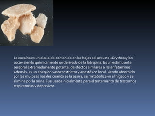 La cocaína es un alcaloide contenido en las hojas del arbusto «Erythroxylon coca» siendo químicamente un derivado de la latropina. Es un estimulante cerebral extremadamente potente, de efectos similares a las anfetaminas. Además, es un enérgico vasoconstrictor y anestésico local, siendo absorbido por las mucosas nasales cuando se la aspira, se metaboliza en el hígado y se elimina por la orina. Fue usada inicialmente para el tratamiento de trastornos respiratorios y depresivos. 