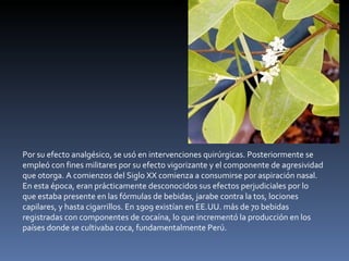 Por su efecto analgésico, se usó en intervenciones quirúrgicas. Posteriormente se empleó con fines militares por su efecto vigorizante y el componente de agresividad que otorga. A comienzos del Siglo XX comienza a consumirse por aspiración nasal. En esta época, eran prácticamente desconocidos sus efectos perjudiciales por lo que estaba presente en las fórmulas de bebidas, jarabe contra la tos, lociones capilares, y hasta cigarrillos. En 1909 existían en EE.UU. más de 70 bebidas registradas con componentes de cocaína, lo que incrementó la producción en los países donde se cultivaba coca, fundamentalmente Perú. 
