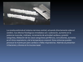 La cocaína estimula el sistema nervioso central, actuando directamente sobre el cerebro. Sus efectos fisiológicos inmediatos son: sudoración, aumento en la potencia muscular, midriasis, incremento de actividad cardíaca y presión sanguínea, dilatación de los vasos sanguíneos periféricos, convulsiones, aumento en el ritmo respiratorio y de la temperatura corporal. Estos síntomas pueden provocar la muerte por paro cardíaco o fallas respiratorias. Además se presentan irritaciones y úlceras en la mucosa nasal. 