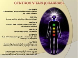 CORONÁRIO
 Glândula pineal, sede do espírito, consciência, ligação
                                 com o plano espiritual

                                              FRONTAL
      Cérebro, sentidos, raciocínio, visão, mediunidade

                                            LARÍNGEO
       Garganta, áreas fonética, auditiva e respiratória,
                              materialização das ideias

                                            CARDÍACO
                    Coração, emotividade, sentimentos

                                            ESPLÊNICO
Baço, distribuição da energia vital, centro energético de
                              vitalização do corpo físico

                                             GÁSTRICO
   Aparelho digestivo, assimilação e metabolização dos
  alimentos, elementos nutritivos, reposição de fluidos

                                             GENÉSICO
    Órgãos sexuais, coluna vertebral, sistema nervoso
   central e periférico, aparelho urinário e reprodutor,
sensualidade, criação, modelador de estímulos da vida
 