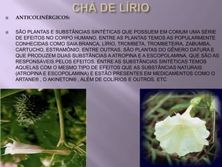   ANTICOLINÉRGICOS:

   SÃO PLANTAS E SUBSTÂNCIAS SINTÉTICAS QUE POSSUEM EM COMUM UMA SÉRIE
    DE EFEITOS NO CORPO HUMANO. ENTRE AS PLANTAS TEMOS AS POPULARMENTE
    CONHECIDAS COMO SAIA BRANCA, LÍRIO, TROMBETA, TROMBETEIRA, ZABUMBA,
    CARTUCHO, ESTRAMÔNIO, ENTRE OUTRAS. SÃO PLANTAS DO GÊNERO DATURA E
    QUE PRODUZEM DUAS SUBSTÂNCIAS A ATROPINA E A ESCOPOLAMINA, QUE SÃO AS
    RESPONSÁVEIS PELOS EFEITOS. ENTRE AS SUBSTÂNCIAS SINTÉTICAS TEMOS
    AQUELAS COM O MESMO TIPO DE EFEITOS QUE AS SUBSTÂNCIAS NATURAIS
    (ATROPINA E ESCOPOLAMINA) E ESTÃO PRESENTES EM MEDICAMENTOS COMO O
    ARTANE® , O AKINETON® , ALÉM DE COLÍRIOS E OUTROS. ETC
 