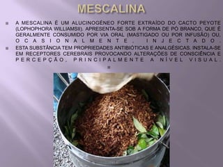    A MESCALINA É UM ALUCINOGÉNEO FORTE EXTRAÍDO DO CACTO PEYOTE
    (LOPHOPHORA WILLIAMSII). APRESENTA-SE SOB A FORMA DE PÓ BRANCO, QUE É
    GERALMENTE CONSUMIDO POR VIA ORAL (MASTIGADO OU POR INFUSÃO) OU,
    O C A S I O N A L M E N T E ,                 I N J E C T A D O .
   ESTA SUBSTÂNCIA TEM PROPRIEDADES ANTIBIÓTICAS E ANALGÉSICAS. INSTALA-SE
    EM RECEPTORES CEREBRAIS PROVOCANDO ALTERAÇÕES DE CONSCIÊNCIA E
    P E R C E P Ç Ã O , P R I N C I PA L M E N T E A N Í V E L V I S U A L .
                                    
 